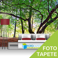 Fotoprodukt Fototapete